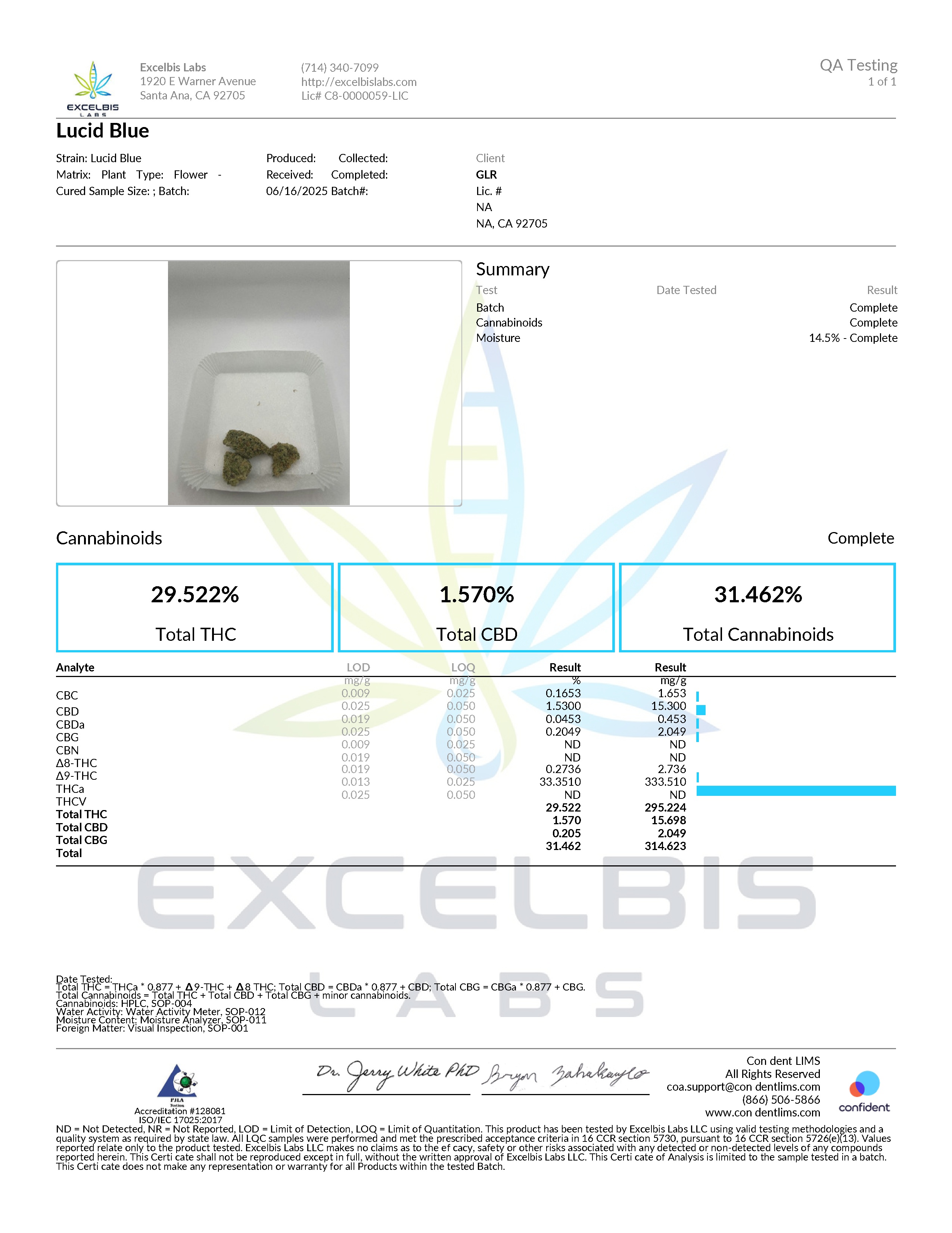 COA - Purple Lemonade